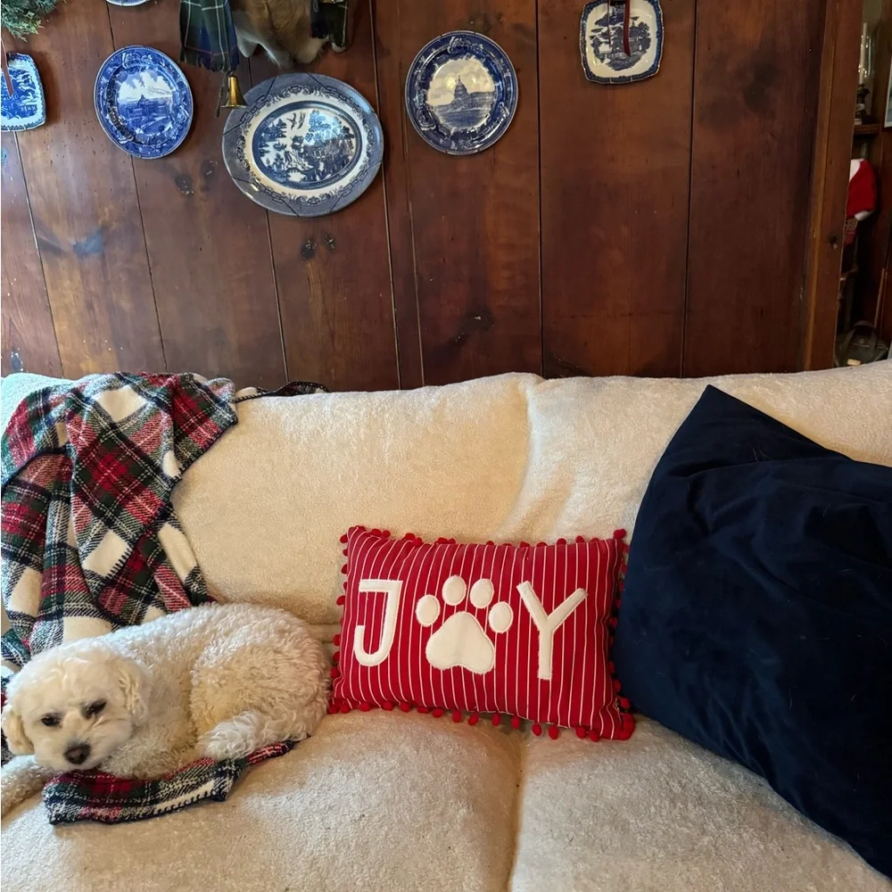 Red and White Striped Joy Pillow Target